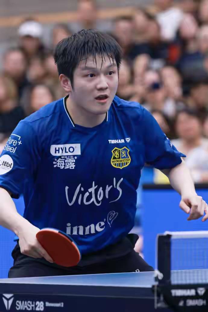 开云体育入口-关于比利时乒乓球队爆冷日本乒乓球队,樊振东完成帽子戏法的信息