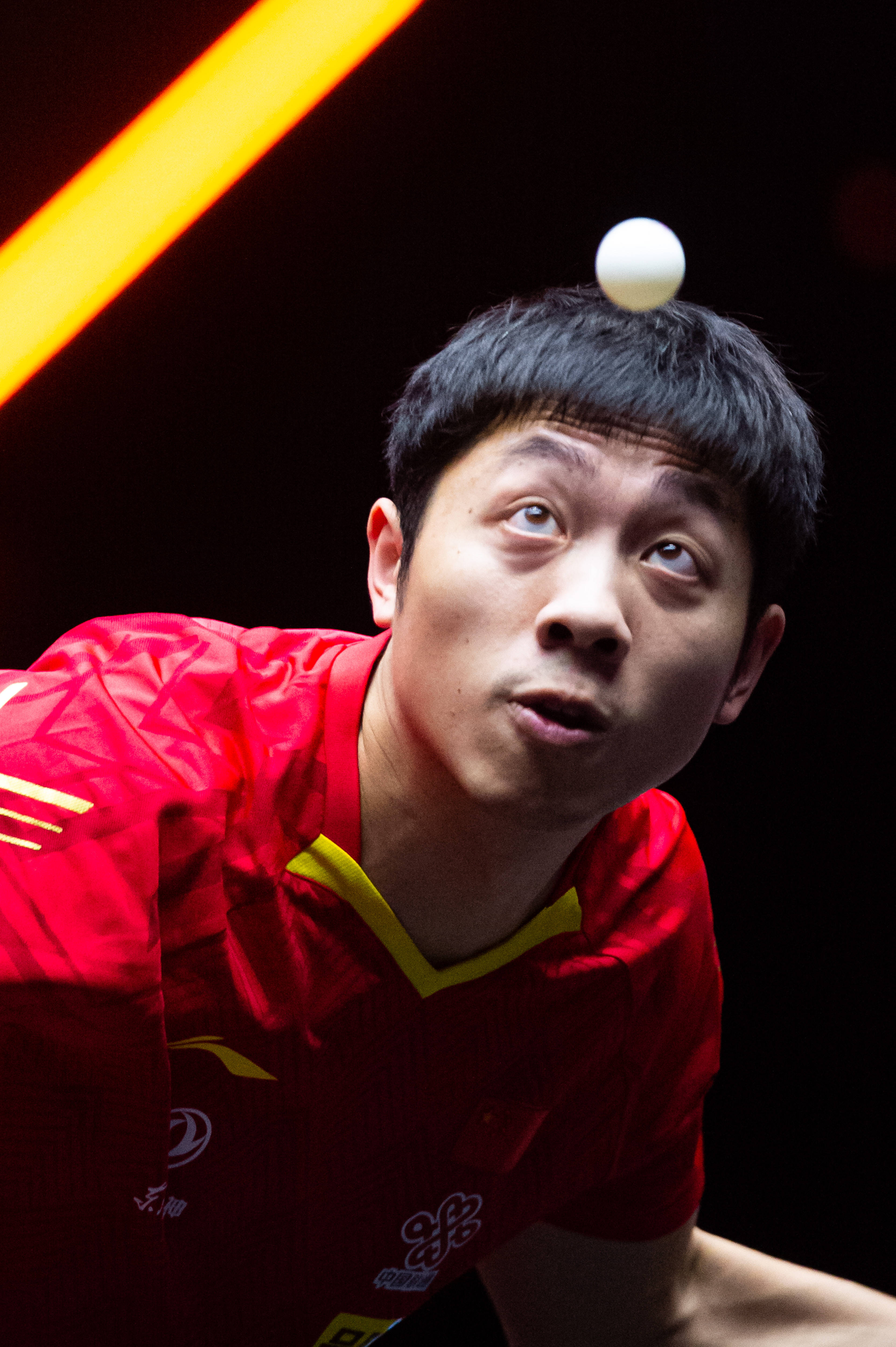 波兰乒乓球队绝杀中国乒乓球队,许昕惊艳世界的简单介绍 波兰乒乓球队绝杀中国乒乓球队,许昕惊艳世界的简单介绍