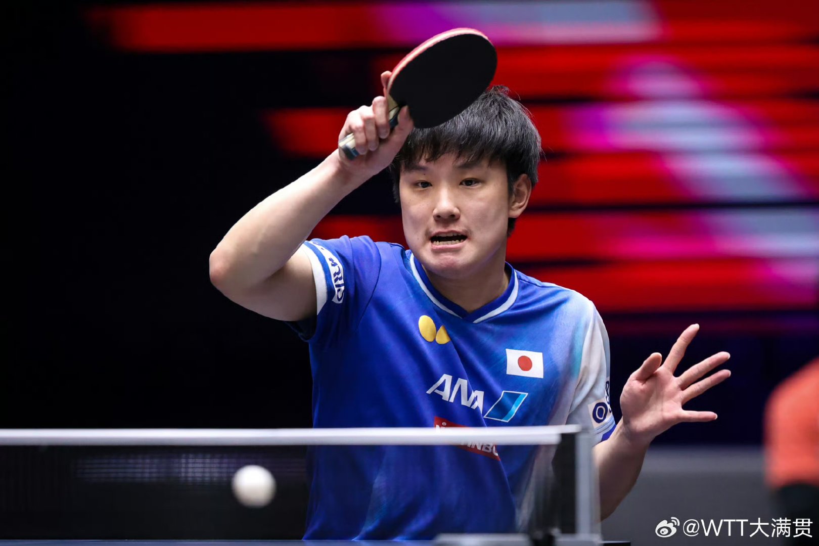 开云体育登录-瑞典队横扫德国队,张本智和关键制胜