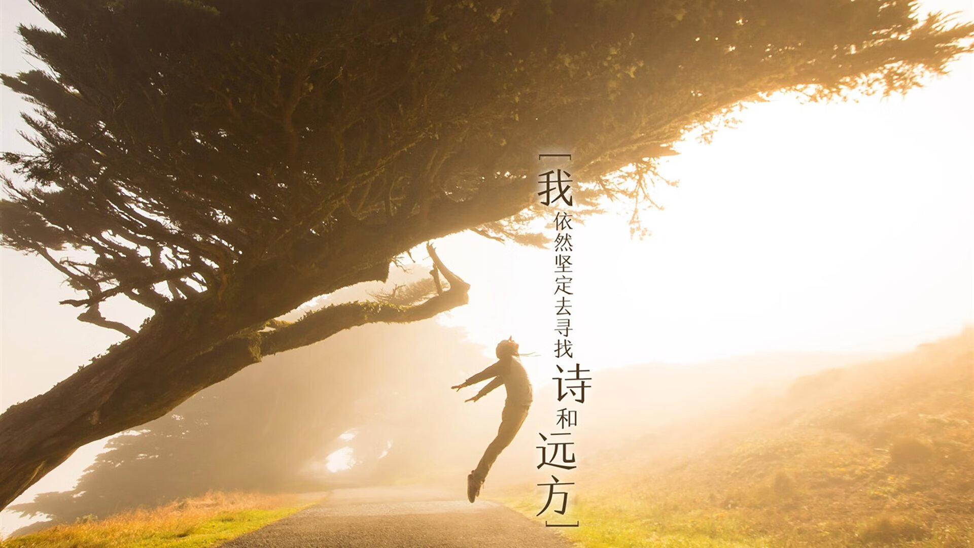 开云平台-美加墨世界杯震撼夜，凯塞多接管比赛，巴拉圭强势击溃苏格兰