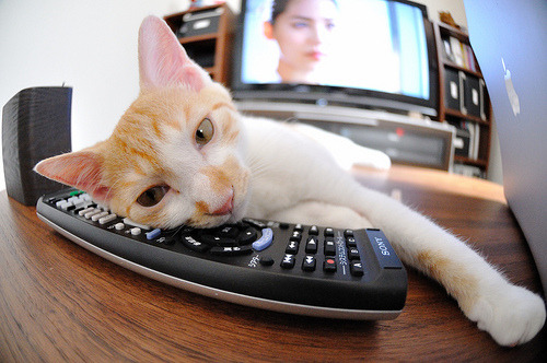 血色圆月,西亚卡姆末节独斩雷霆,太阳升起新秩序