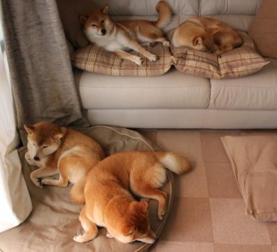 夜的棱角，当F1赛道遇见班凯罗的攻防转换法则