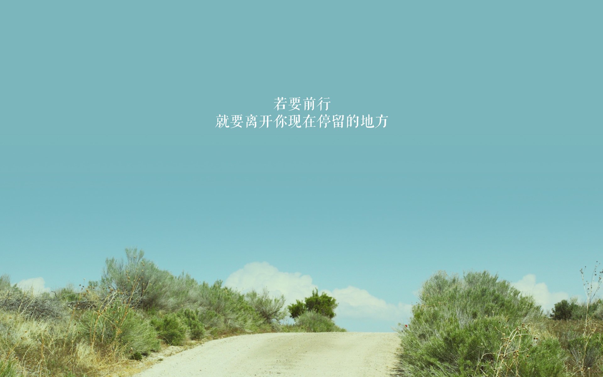 双线告捷，土耳其足球生死战力克埃及，阿劳霍F1街道赛主宰赛道