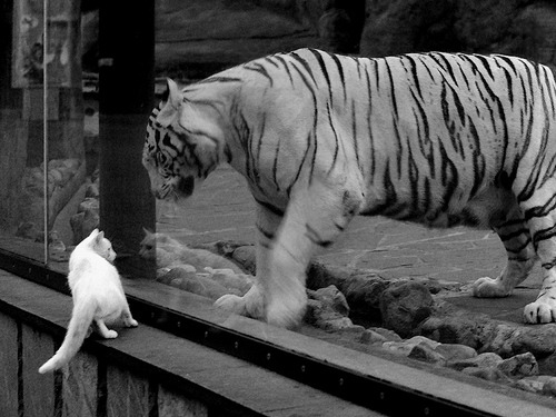 开云体育平台APP-上海队压哨绝杀爵士,马克西进攻端如入无人之境