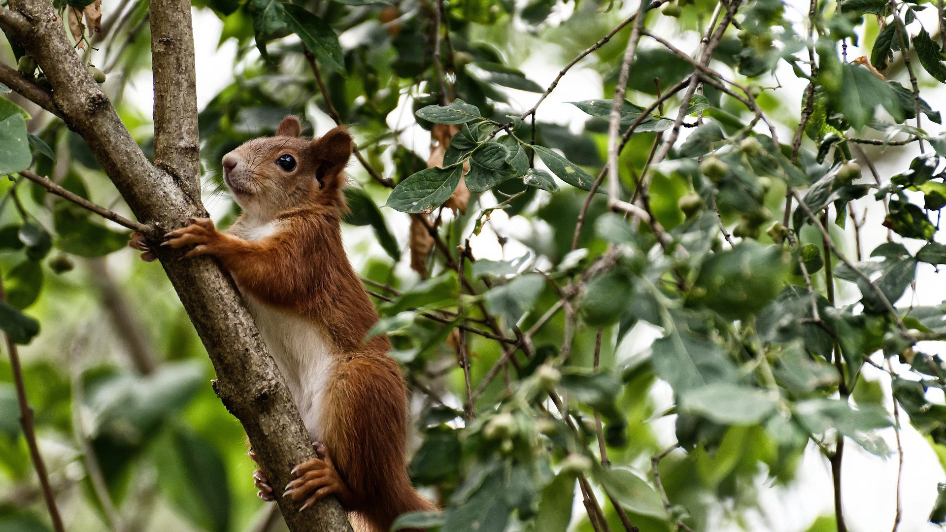 开云下载-东方铁骑鸣镝夜,世界杯焦点战,山西队一波带走爵士乐