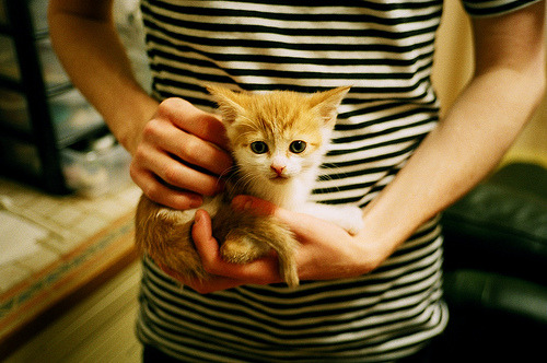 拉文一手掌控比赛走势,奇才惊天翻盘湖人