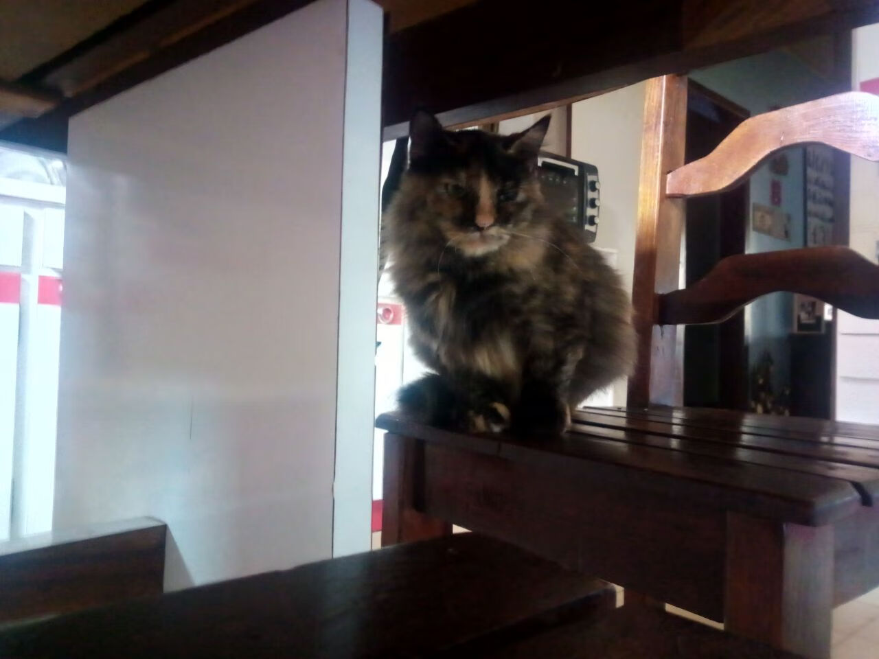 利拉德末节暴走定乾坤!太阳鏖战篮网赢下生死战