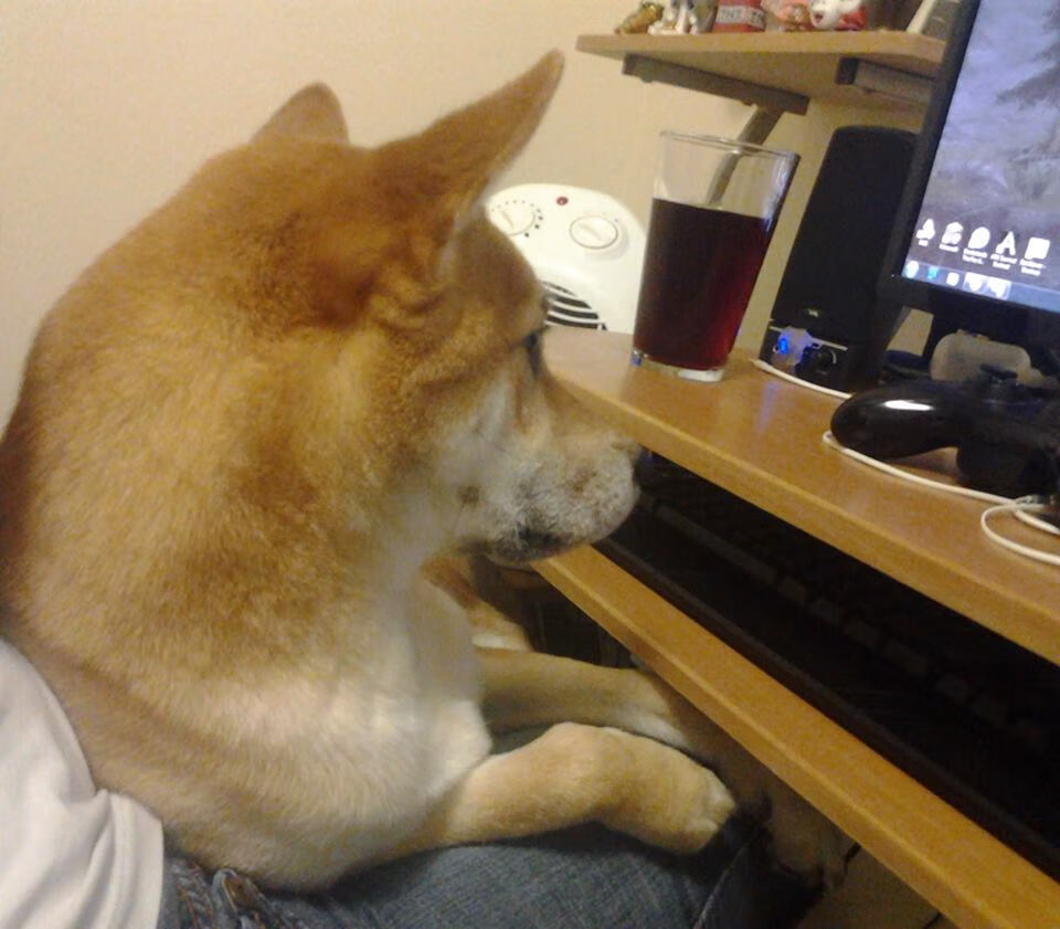 无声德比，当德罗赞在芝加哥之夜上演国家德比