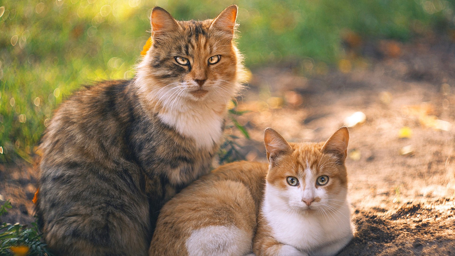 节奏掌控致胜，雷恩力克摩洛哥，格列兹曼化身关键先生